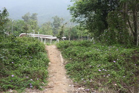 坪河公园