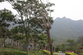 坪河公园