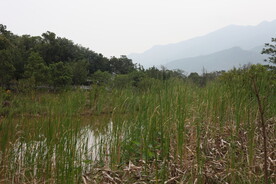 坪河公园