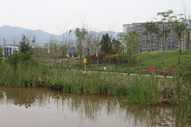 坪河公园