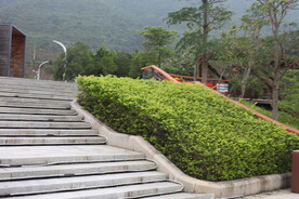 坪河公园