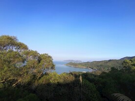 深圳坝光