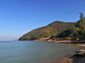 深圳坝光