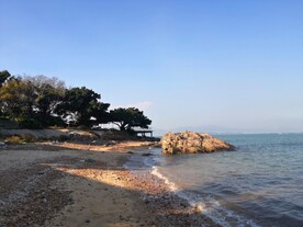 深圳坝光