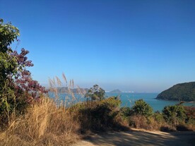 深圳坝光