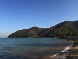 深圳坝光