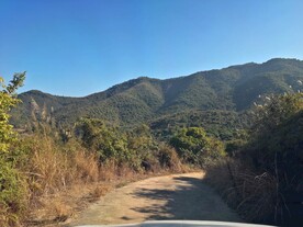 深圳坝光