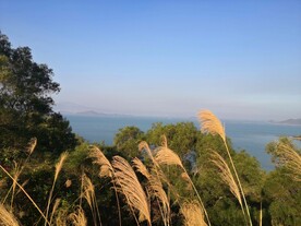 深圳坝光