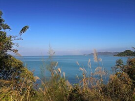 深圳坝光
