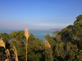 深圳坝光