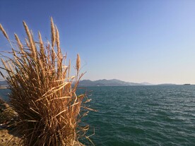 惠州巽寮湾