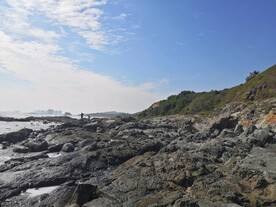 惠州黑排角