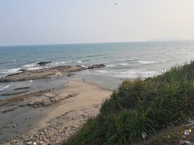 惠州黑排角