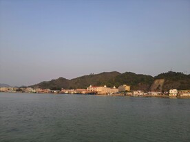 惠州黑排角