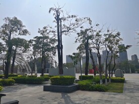 大亚湾