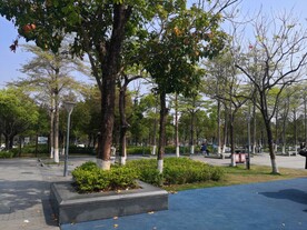 大亚湾