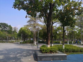 大亚湾