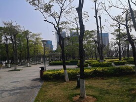 大亚湾