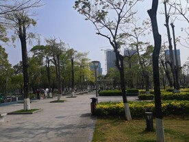 大亚湾