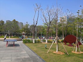 大亚湾