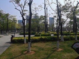 大亚湾