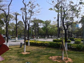 大亚湾