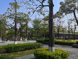 大亚湾