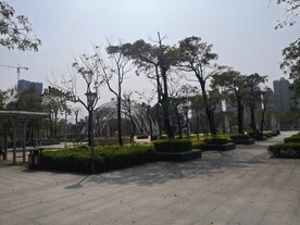 大亚湾