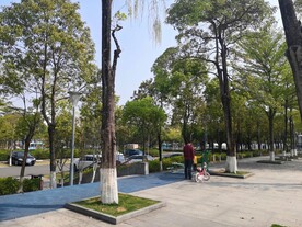 大亚湾