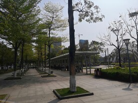 大亚湾