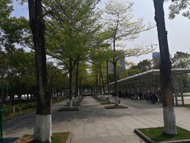 大亚湾