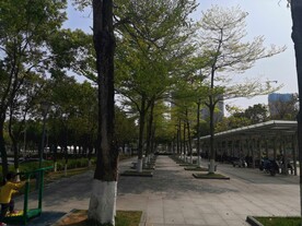 大亚湾