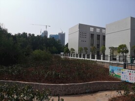 大亚湾红树林