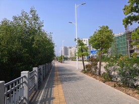 大亚湾红树林