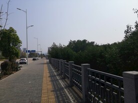 大亚湾红树林