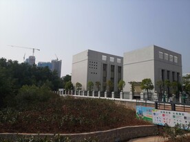 大亚湾红树林