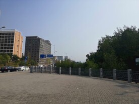 大亚湾红树林