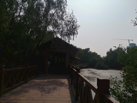 大亚湾红树林