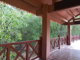 大亚湾红树林