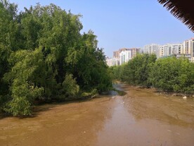大亚湾红树林