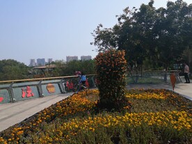 惠州大亚湾
