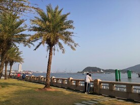惠州大亚湾