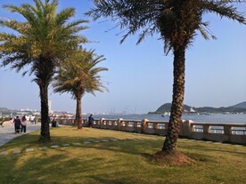惠州大亚湾