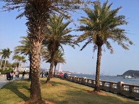 惠州大亚湾