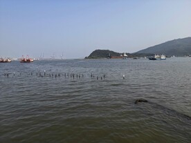 惠州大亚湾