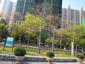 惠州大亚湾