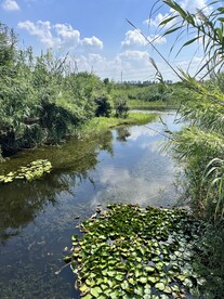 湿地公园