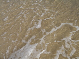 沙滩海水