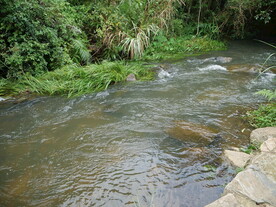 山涧河流