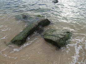 海滩礁石